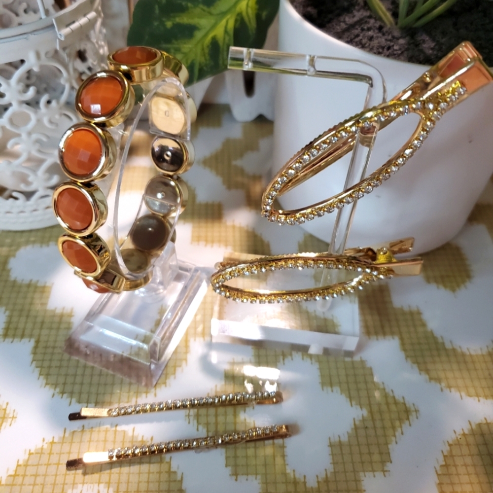 Hair Pins & Bracelet